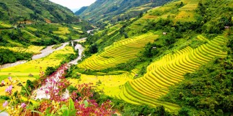 Tour du lịch Sapa – Bắc Hà 2 ngày