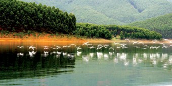 Ngao du hồ Thác Bà